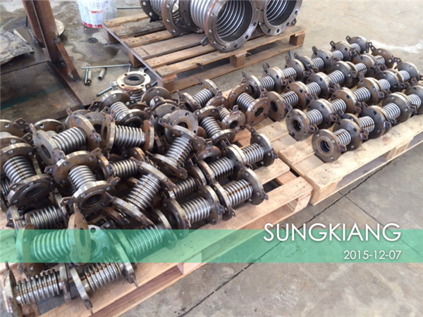 DN65波紋補(bǔ)償器發(fā)貨現(xiàn)場(chǎng)