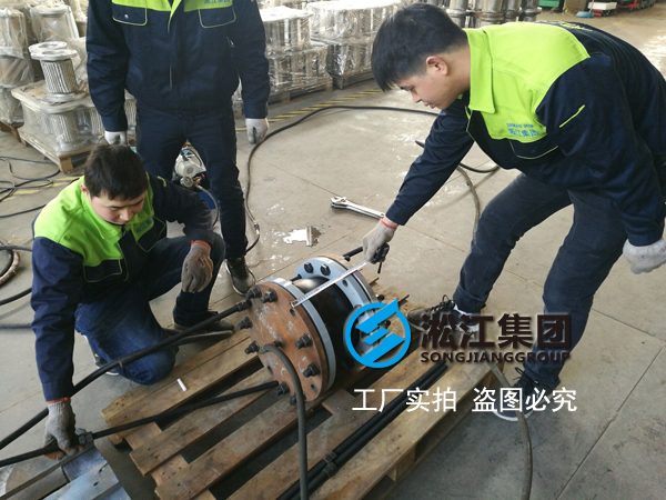 煤氣增壓泵配套橡膠軟連接