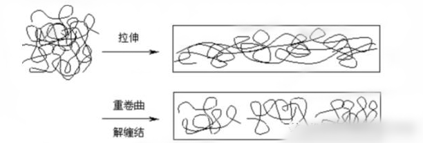 橡膠接頭：橡膠的黏彈性能