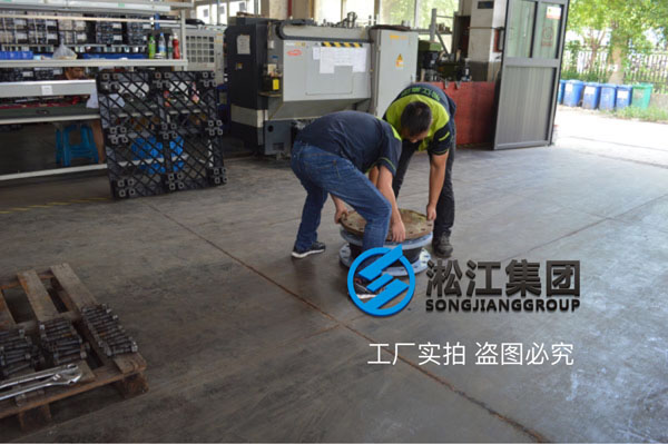 你好，有這個上海淞江DN150橡膠避震喉的圖紙發我一下