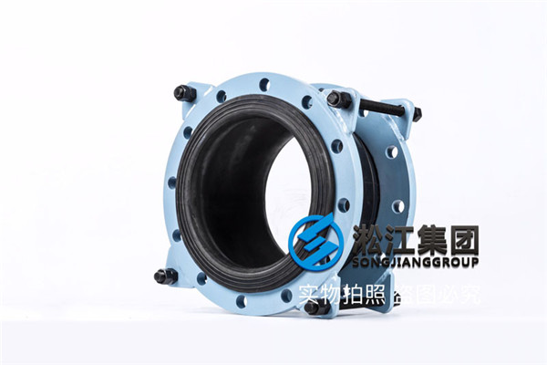 貴州王車水庫工程DN300,PN16防拉脫橡膠減震接頭