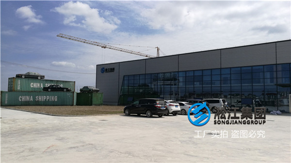 伊春市廢水處理DN800德標(biāo)耐酸堿可曲撓橡膠接頭圖片，錦綸簾子布